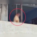 belgaav apmc market parisarat adnyat vyaktichi atmahatya