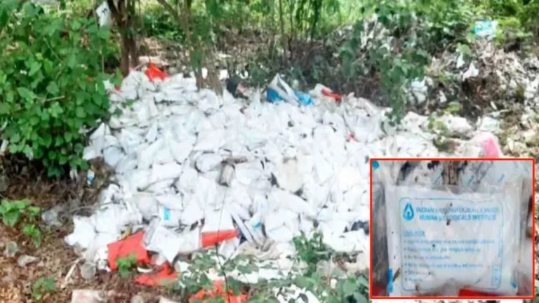 vaccine depo avarat vaidyakiya kacharyache dhig