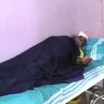 jangli mushroom khalyanantar ekach kutumbatil 9 jananchi prakruti bighadli