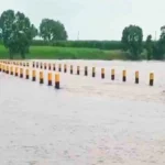 krishna nadichya vadhatya panipatline 7 pool panyakhali