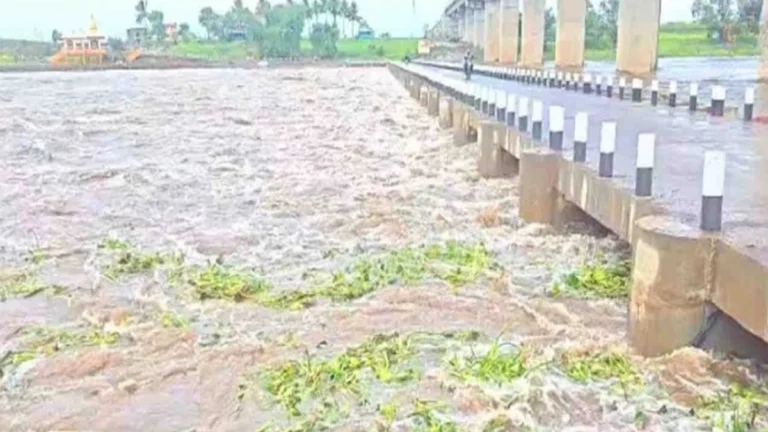 maharashtrat musaldhar paus