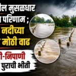 maharashtratil musaldhar pavasacha parinam ; krishna nadichya visargat mothi vadh