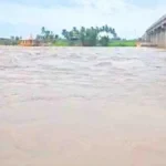 maharashtratil musaldhar pavasamule chikkodi-nipanitil sakhal pul panyakhali