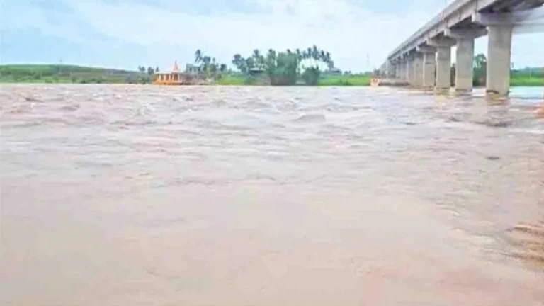 maharashtratil musaldhar pavasamule chikkodi-nipanitil sakhal pul panyakhali