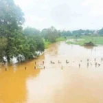 markandeya nadila pur ; kangrali khurd yethil juna pul panyakhali