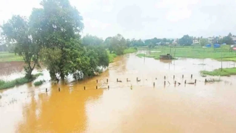 markandeya nadila pur ; kangrali khurd yethil juna pul panyakhali