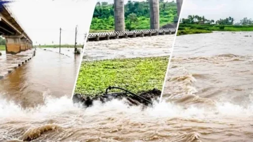 nipani talukyatil tin pramukh pool panyakhali ; vahatuk viskalit