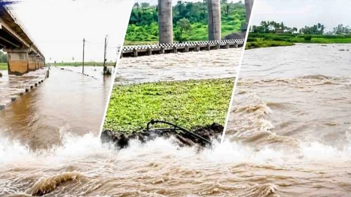nipani talukyatil tin pramukh pool panyakhali ; vahatuk viskalit