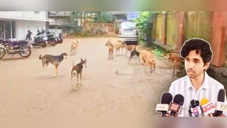 belgaav jilhyatil 28 hajaranhun adhik mokat kutryanvar niyantranasathi kadak upayayojana