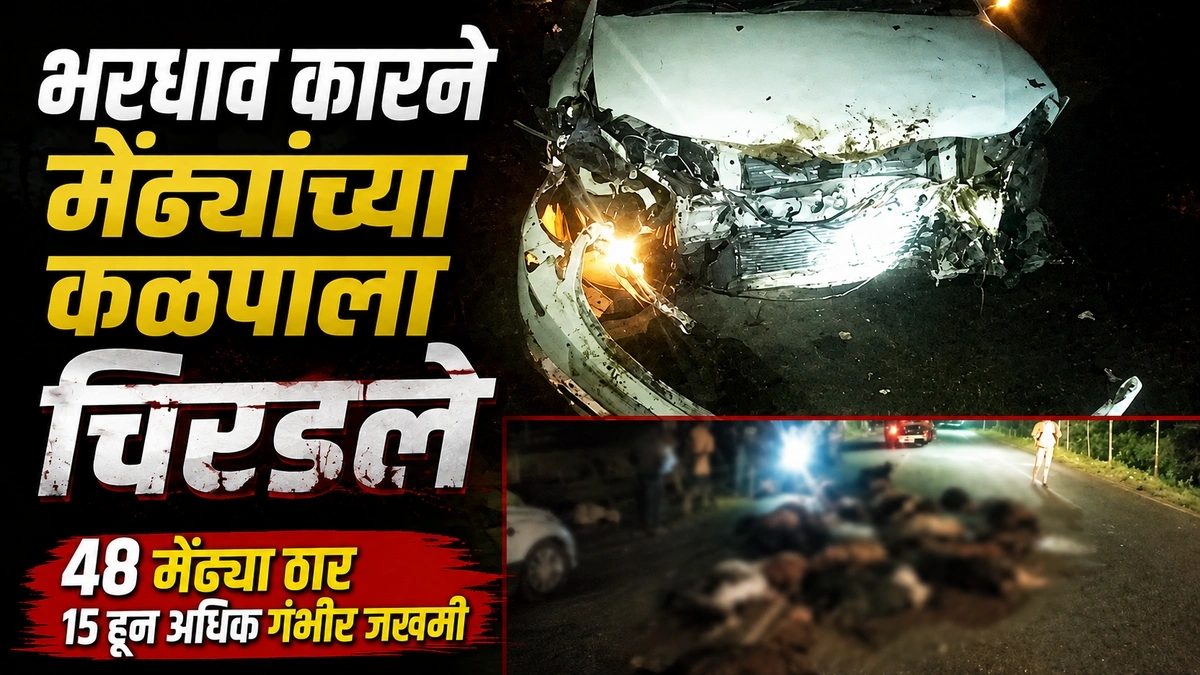 bharadhav carne mendhyanchya kalpala chirdale