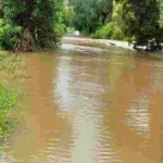 halatri nadichya pulavar tin foot pani