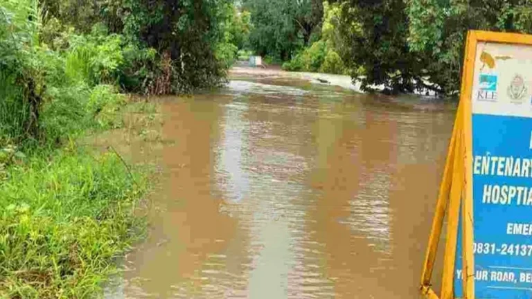 halatri nadichya pulavar tin foot pani