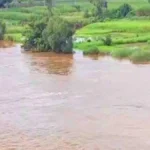 krishna nadit 1.33 lakh cusec panyachi avak