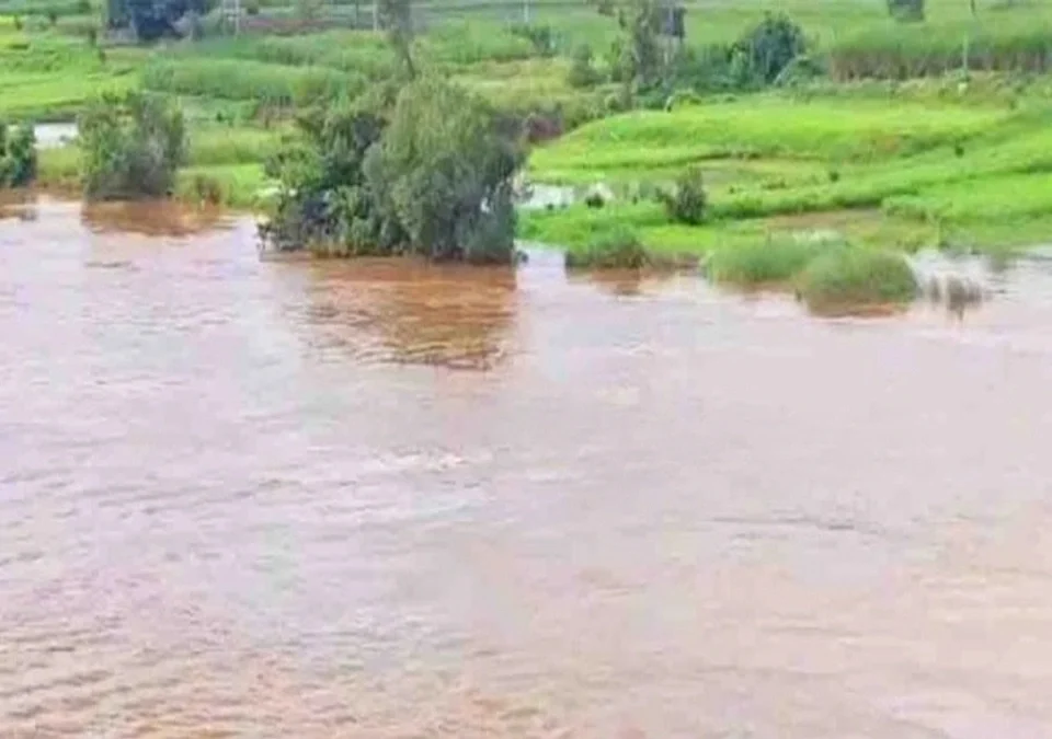 krishna nadit 1.33 lakh cusec panyachi avak