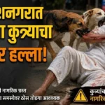 mahantesh nagrat bhatkya kutryacha vruddhavar halla
