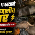 vijechya dhakkayane mhais jagich thar
