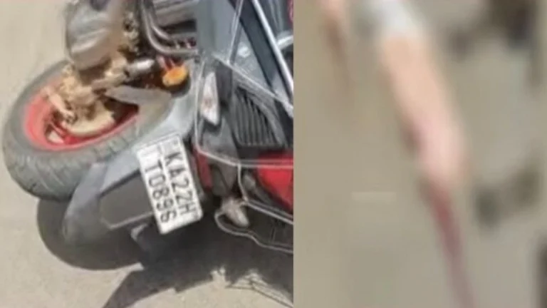 angol nakyajaval bus-duchaki apghatat borgaavchya tarunacha jagich mrutyu