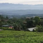 eco sensitive zone madhe belgaav jilhyatil 63 gavancha samavesh