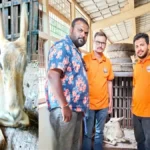 bhatkya kutryanchya hallyat jakhmi haranachi sutka