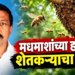 madhmashanchya hallyat belgunditil shetkaryacha durdaivi mrutyu