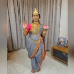 navratri vishesh ; janoon ghya navratritil nau rang ani tyanche mahatva