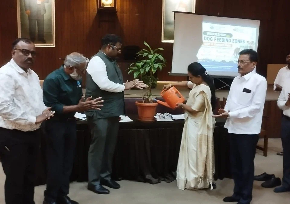 pranyanprati karuna ani sarvajanik suraksha hi sarvanchi jababdari ; mahapaur preeti kamkar